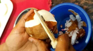 Nariyal ki Chatni_Peel the coconut skin
